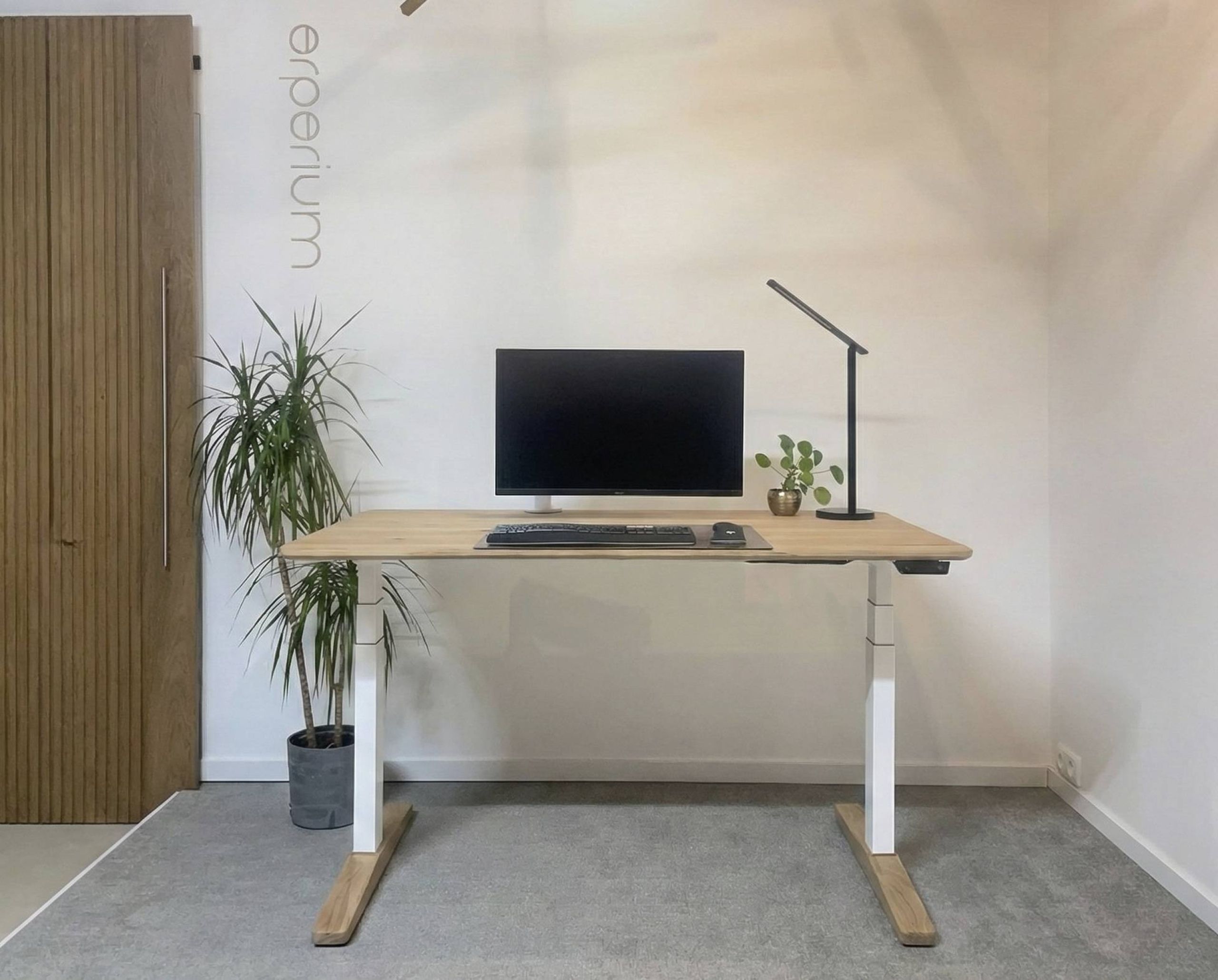 20mm bureaublad directie bureau