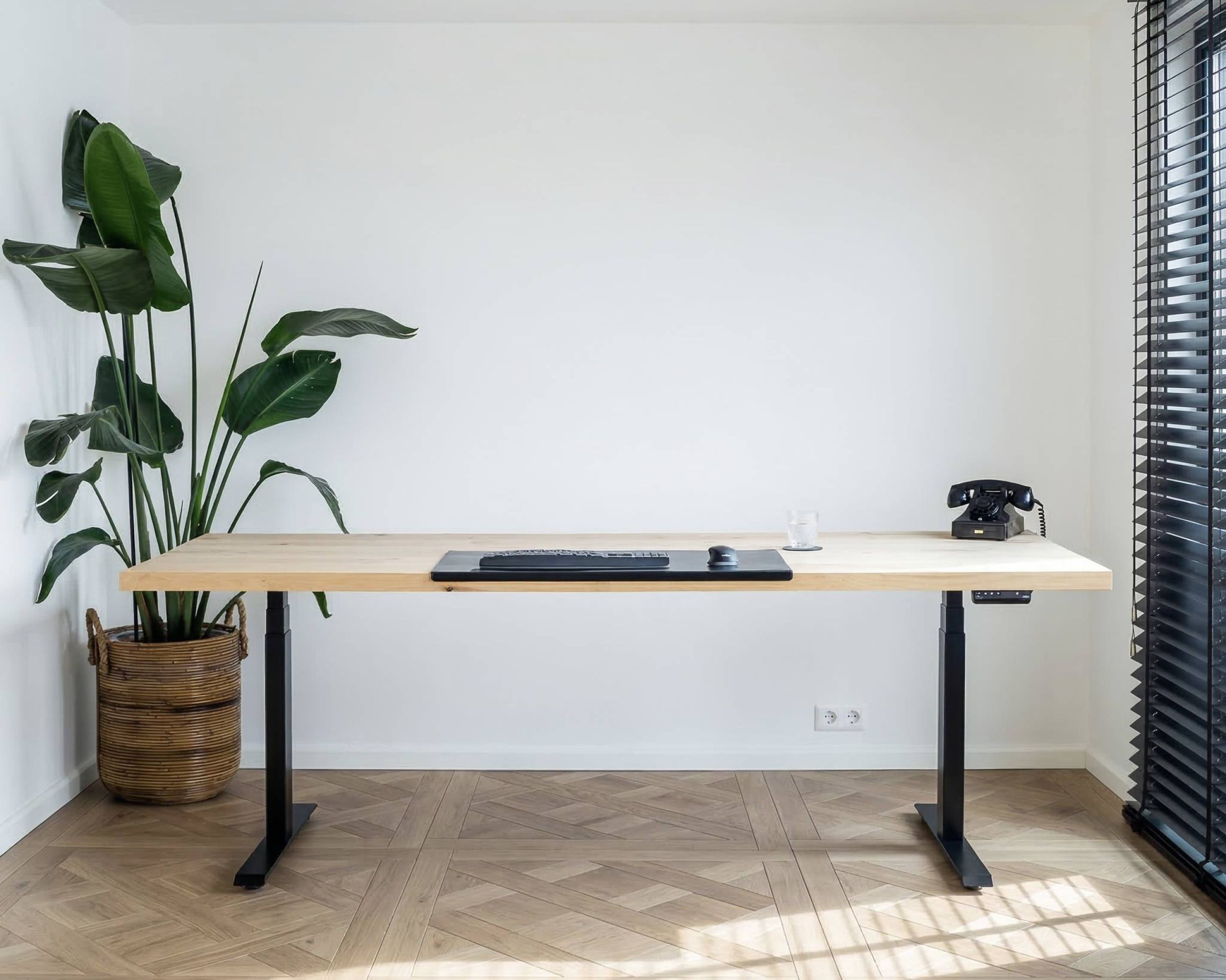 Blank eiken karakter met noesten