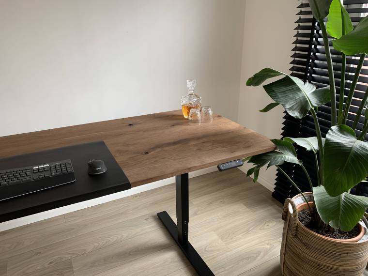 Zit-sta bureau met computer en plant